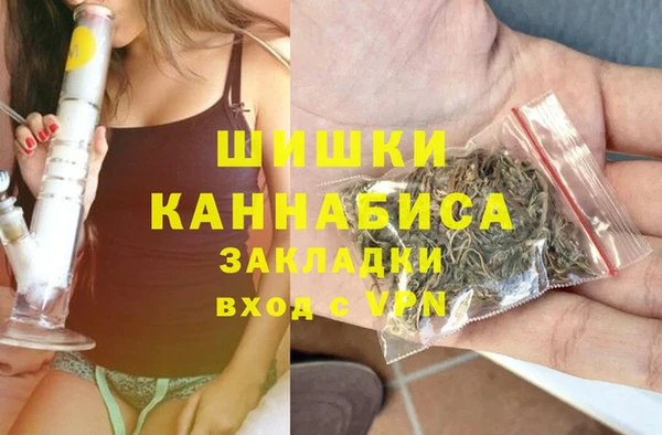 тгк Осташков