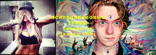 ешки Няндома