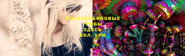 тгк Осташков