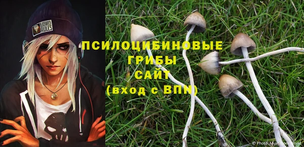 тгк Осташков