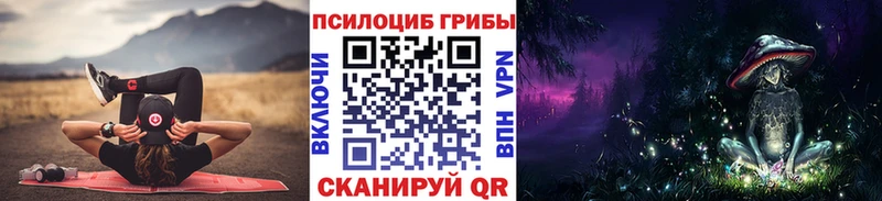 Галлюциногенные грибы Psilocybe  Купить  Сертолово 